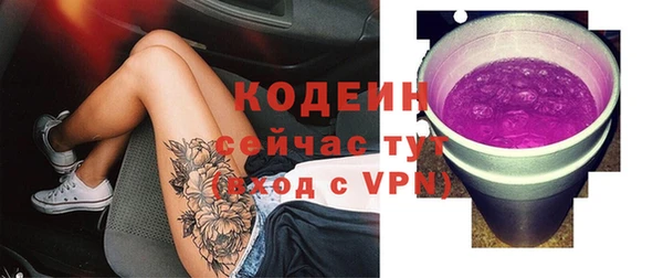 сатива Осташков