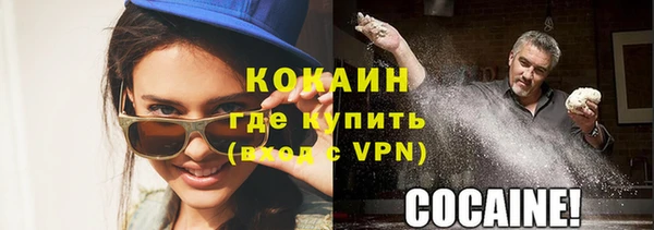 сатива Осташков
