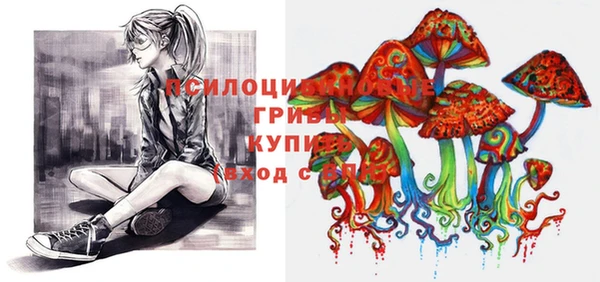 мдма Осинники