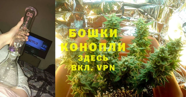 сатива Осташков