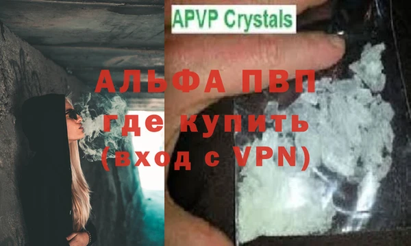 сатива Осташков