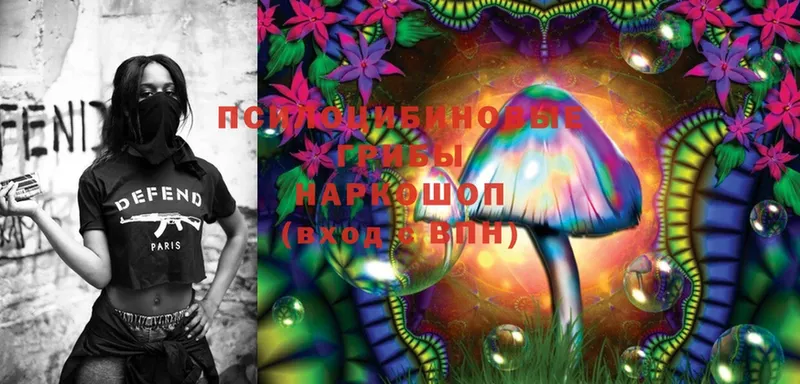 Галлюциногенные грибы MAGIC MUSHROOMS  Ветлуга 